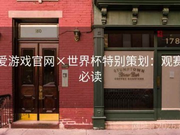 爱游戏官网×世界杯特别策划：观赛必读