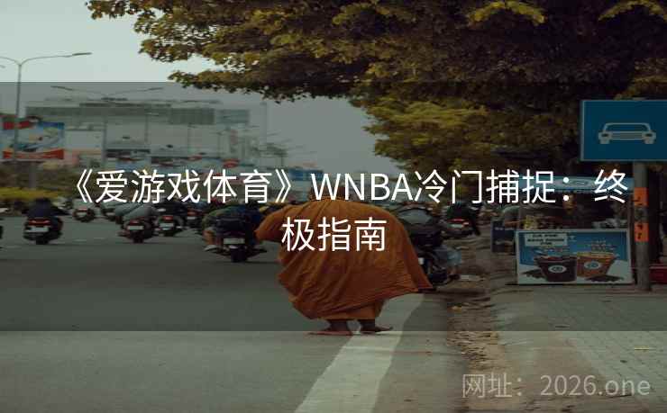 《爱游戏体育》WNBA冷门捕捉:终极指南 《爱游戏体育》WNBA冷门捕捉:终极指南