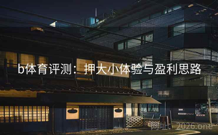 b体育评测:押大小体验与盈利思路 b体育评测:押大小体验与盈利思路
