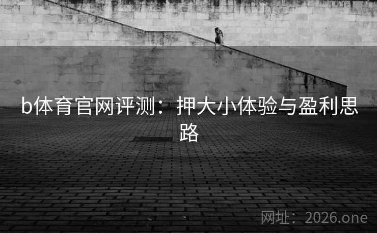 b体育官网评测:押大小体验与盈利思路 b体育官网评测:押大小体验与盈利思路